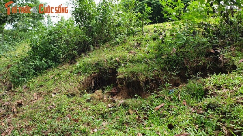 Thanh Hóa: Cận cảnh tuyến đê sông Cầu Chày bị nứt vỡ, xuống cấp