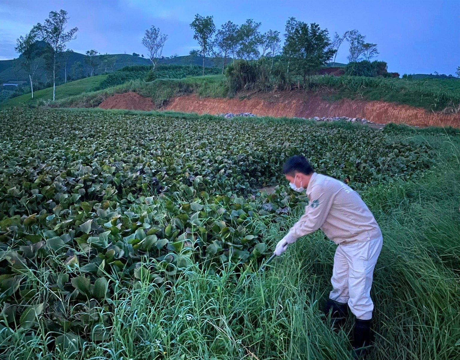 Sơn La: Thanh tra đột xuất việc xả thải của Mộc Châu Milk gây ô nhiễm môi trường