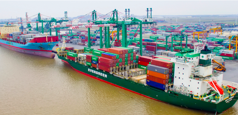 Những đáng ngại khi Viconship (VSC) phát hành riêng lẻ 40 triệu cổ phiếu