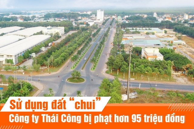 su-dung-dat-chui-cong-ty-thai-cong-bi-phat-hon-95-trieu-dong-1662505475.jpg