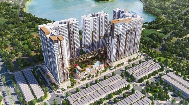 LDG chuẩn bị chia cổ tức 2019 cho cổ đông