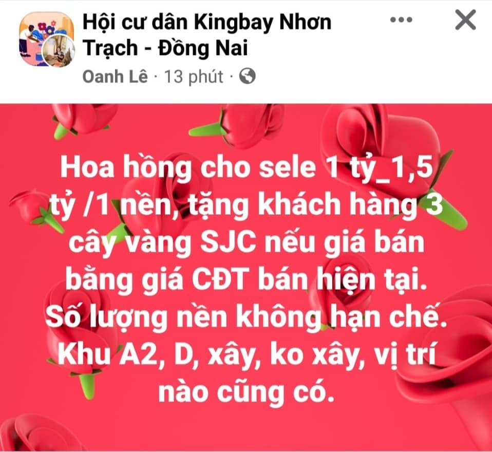 muc-phi-hoa-hong-hap-dan-tai-phan-khu-fenice-paradice-thuoc-du-an-king-bay-nhon-trach-dong-nai-1662607221.jpeg