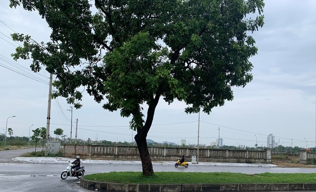 Nhiều sai phạm tại dự án công trình nhà hàng, khách sạn Hưng Gia