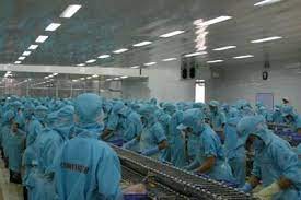 Một doanh nghiệp thủy sản lụi tàn vì gánh nặng nợ vay