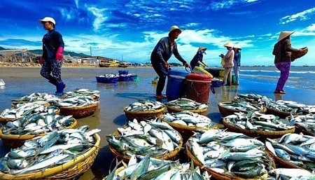 Thiếu vốn vay, doanh nghiệp thủy sản phải hoạt động cầm chừng