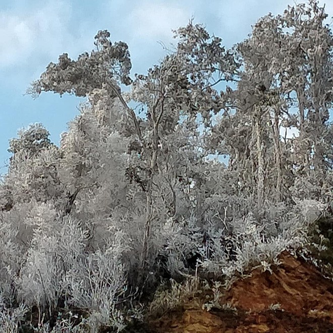 Nhiều nơi ở Nghệ An xuất hiện băng giá, cây cối, vật dụng đều bị đóng băng