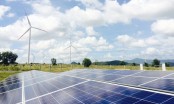 'Lướt sóng' loạt dự án nghìn tỷ, tiềm lực Nam Việt Green Energy ra sao?