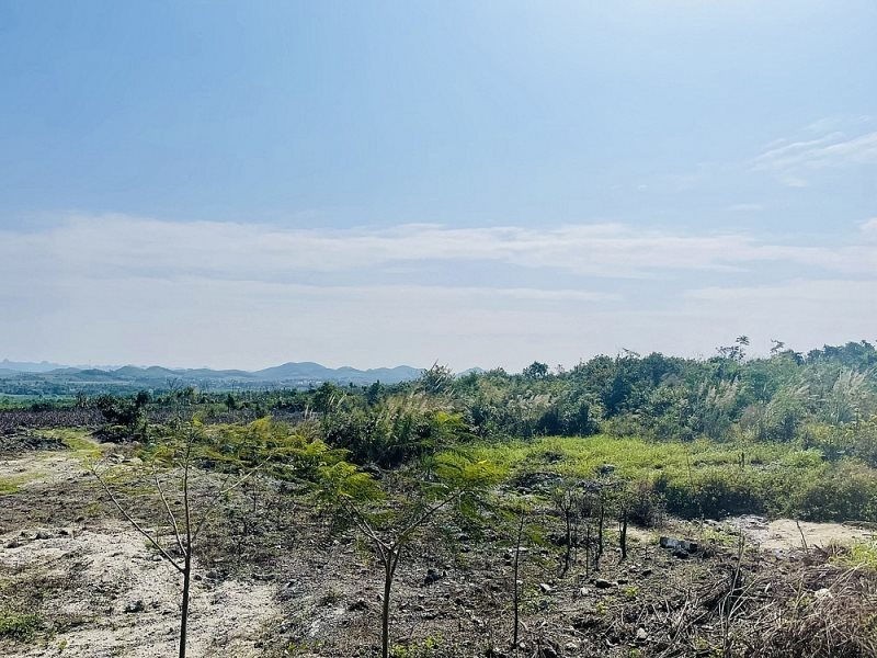 Ninh Bình: Dự án Trung tâm giống lợn hơn 65ha bỏ hoang 12 năm gây lãng phí đất đai