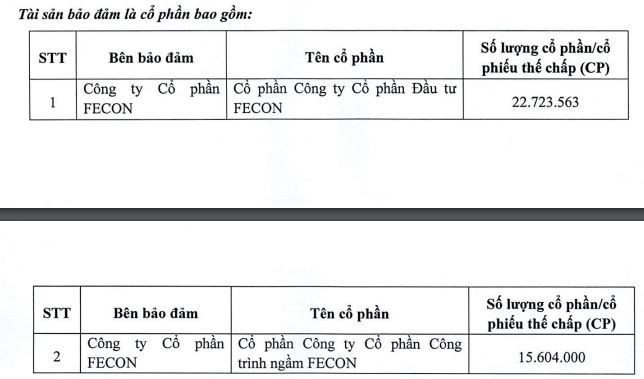 Kinh doanh thua lỗ, Fecon chọn cách huy động vốn qua kênh trái phiếu