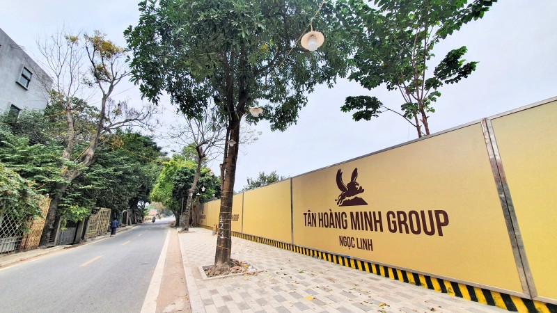 Nhiều công ty con của Tân Hoàng Minh cung cấp báo cáo tài chính giả mạo