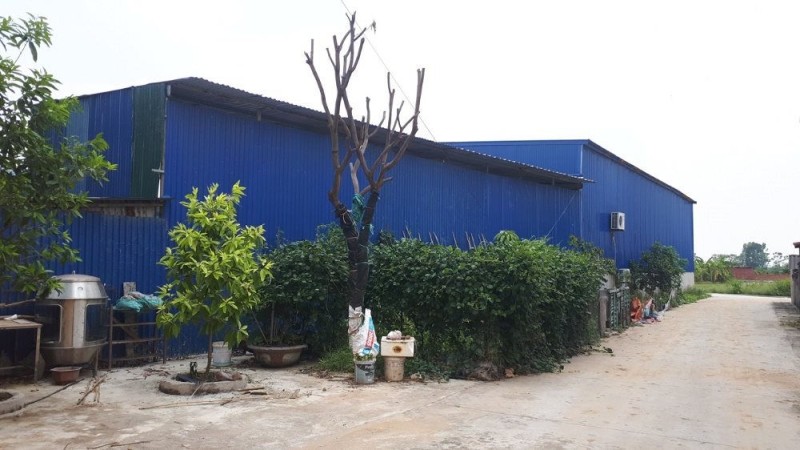 Bắc Ninh: Bao giờ xử lý những vi phạm đất đai ở huyện Yên Phong?