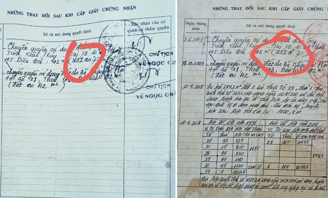 Đất ao hóa đất ở, UBND huyện Kim Sơn nói không vi phạm