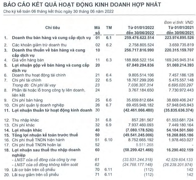 Ocean Group: Kiểm toán tiếp tục nghi ngờ đáng kể về khả năng hoạt động liên tục