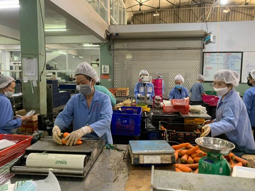 TP HCM nâng cao hiệu quả chương trình bình ổn