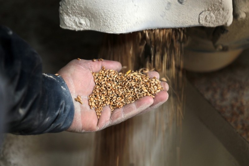 Giá lương thực năm 2023 vẫn leo thang