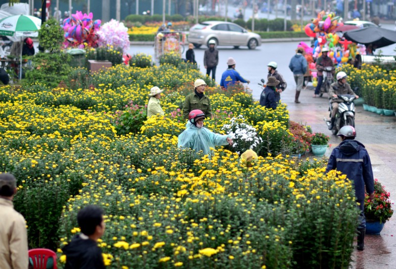 Bộ Y tế: Tăng cường phòng, chống dịch dịp Tết Nguyên đán và mùa lễ hội 2023