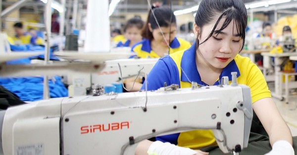 Tin vui “đặc biệt”: Doanh nghiệp SME được miễn thuế thu nhập trong 3 năm, startup đổi mới sáng tạo nhận “mưa” ưu đãi thuế
