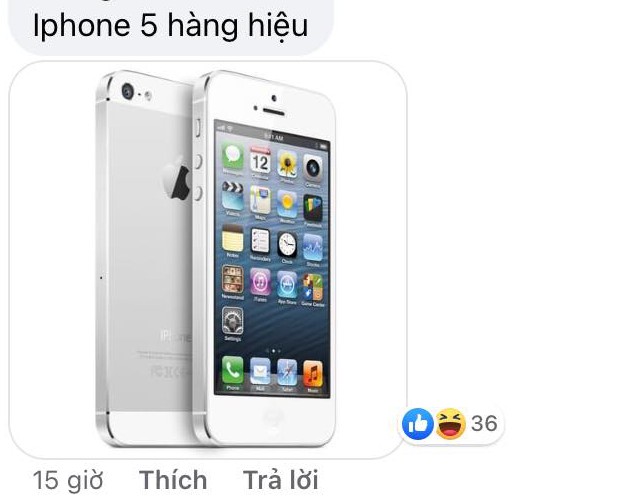 Nguoi dung Viet Nam dang tranh cai vi iPhone 12 anh 1