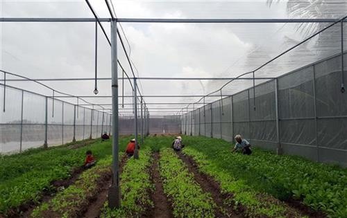 Nhiều mô hình sản xuất của nông dân Sóc Trăng thành công nhờ áp dụng công nghệ 4.0