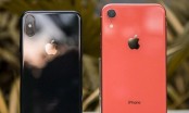 Giá iPhone “tuột dốc không phanh” sau khi iPhone 12 trình làng