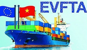 Thực hiện Hiệp định CPTPP và EVFTA trên địa bàn TP. Hồ Chí Minh