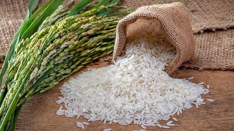 Giá gạo hôm nay 4/11: Ổn định giá