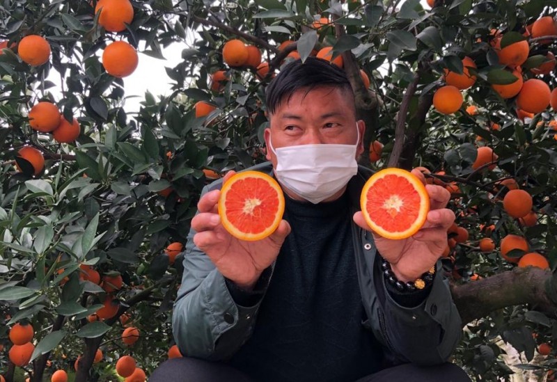 Lễ hội mua sắm toàn cầu 11.11 năm 2020 của Tập đoàn Alibaba:
                                            Điểm nổi bật trong kỳ bán hàng khuyến mại đầu tiên