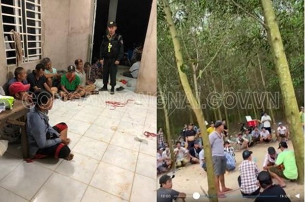 Bắt 33 đối tượng, triệt xóa tụ điểm đánh bạc dưới hình thức đá gà ăn tiền ​