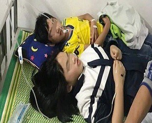 Chọc phá tổ ong, 16 học sinh ở Nghệ An phải đi cấp cứu