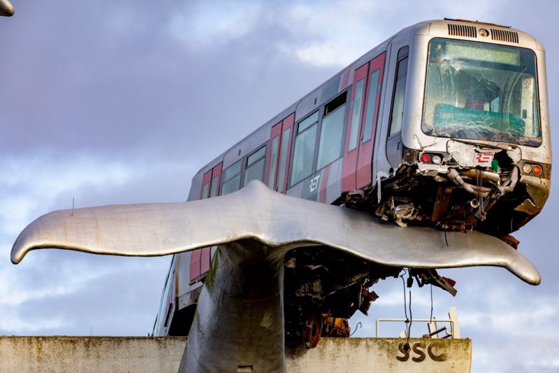 Tượng đuôi cá voi khổng lồ cứu tàu metro vào top ảnh tuần