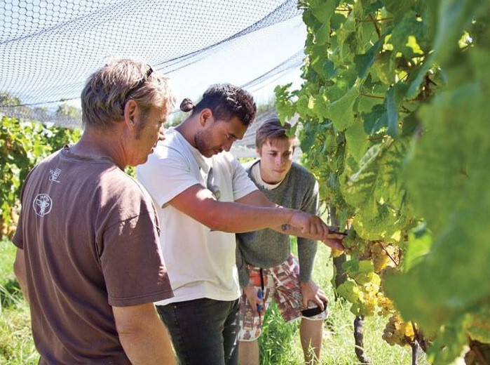 Du học New Zealand còn lựa chọn nào bên cạnh đại học?