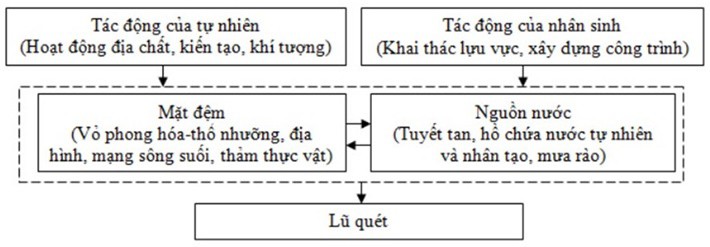 tm-img-alt