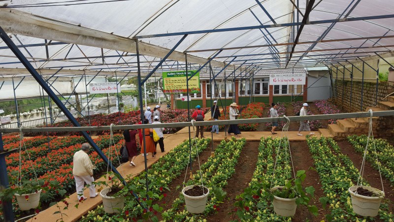 Lâm Đồng đón 200.000 lượt khách trong tháng 10/2020