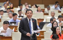 Làm gì để phát triển cây mắc ca ở Việt Nam một cách bền vững?