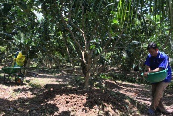 Thuế GTGT phân bón 5% tạo ra lợi ích toàn diện