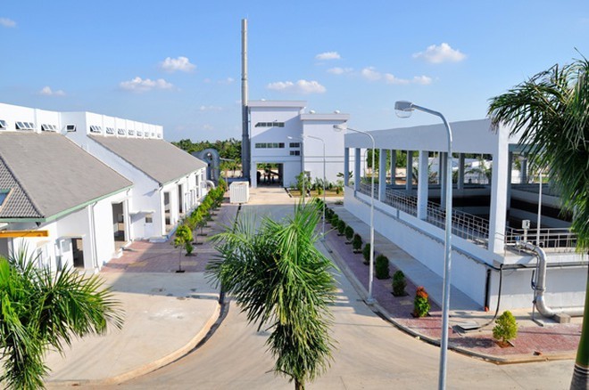 Phiên giao dịch ngày 12/11/2020: Những cổ phiếu cần lưu ý