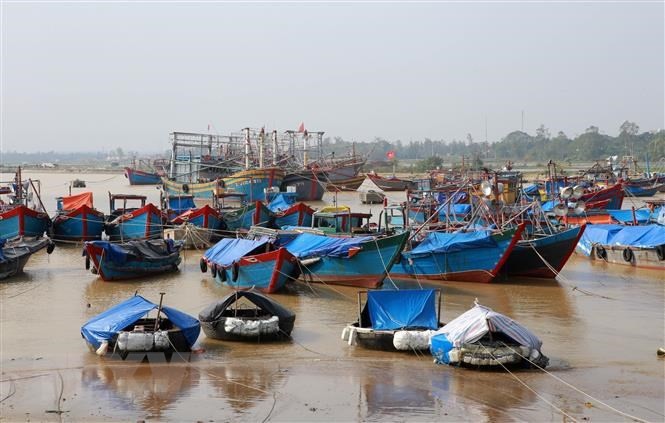 Ứng phó bão số 13: Nghệ An cấm tàu thuyền ra khơi từ 17 giờ ngày 13/11