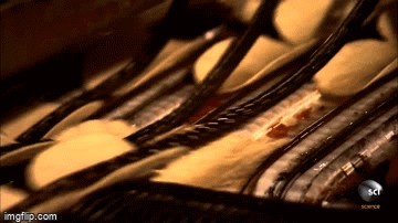 Clip: Cận cảnh quá trình sản xuất bim bim khoai tây