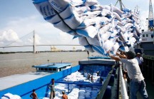 Hưởng lợi từ giá gạo, nhiều doanh nghiệp báo lãi lớn