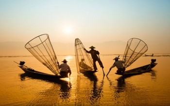 Quản lý và Đầu tư Trường Giang gom thêm gần 1,38 triệu cổ phiếu của Bất động sản An Gia