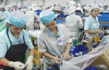 Thiết kế gói ưu đãi đặc biệt để thu hút FDI