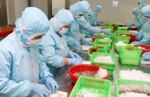 Xuất khẩu thủy sản 10 tháng đầu năm đạt gần 7 tỷ USD