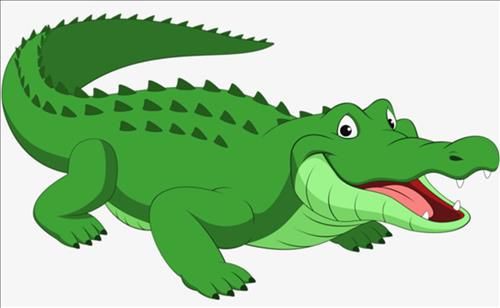 Vẽ con cá sấu/How to Draw a Crocodile - YouTube