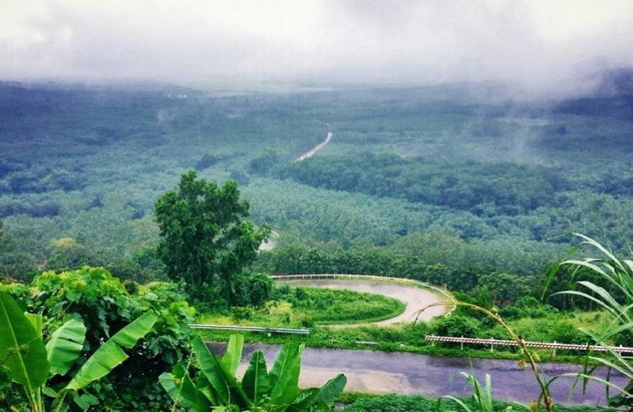 Bình Thuận: Khu phức hợp Centraland hơn 6.000 tỷ có 107ha là đất rừng