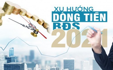 Dòng tiền của nhà đầu tư có thực sự nằm im trong mùa dịch Covid-19?