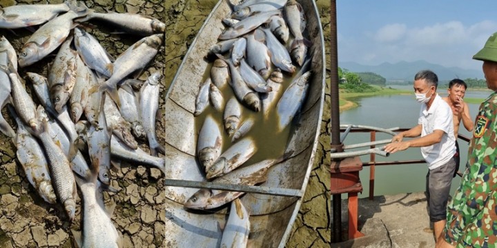 Tam Nông (Phú Thọ): Người dân khẩn thiết đề nghị UBND tỉnh giải quyết thấu đáo vụ việc Hồ Đồng Hạ
