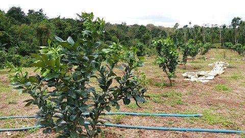 Công ty Vân Anh trúng gói thầu 'bất thường' tại Quảng Bình