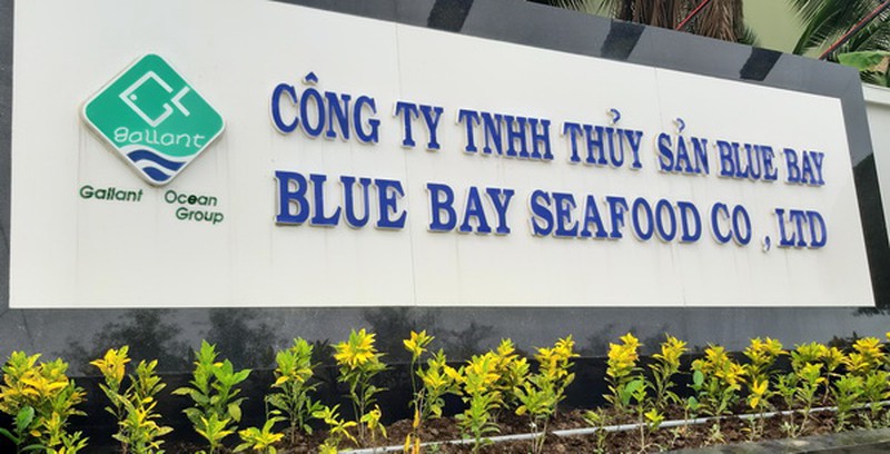 Xả thải gây ô nhiễm, Công ty Blue Bay bị xử phạt hơn 600 triệu đồng