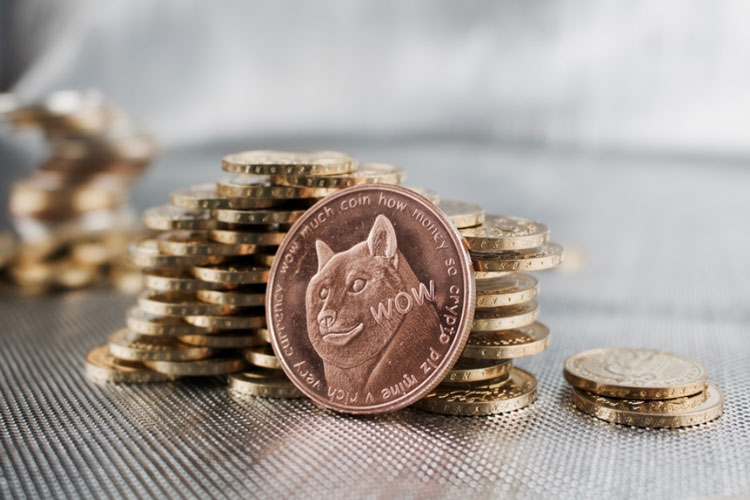 Cơn sốt đầu tư coin động vật tại Việt Nam giờ ra sao?