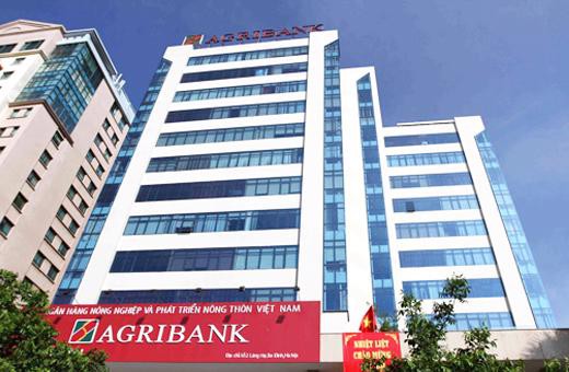 Agribank đang làm gì trước thềm cổ phần hoá?